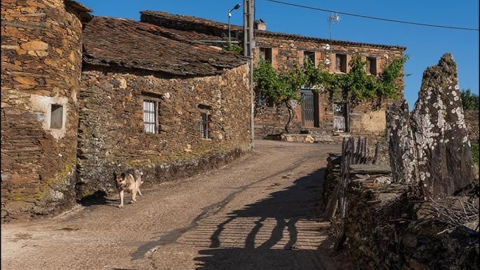 Vivinera
