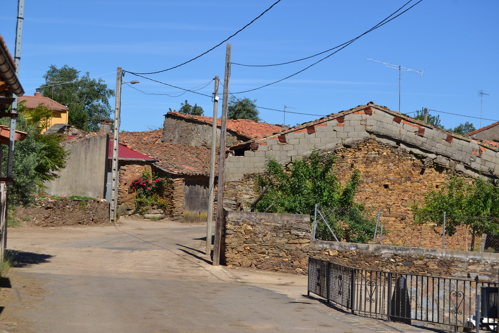 Tola