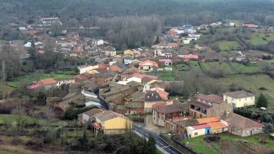 Sejas